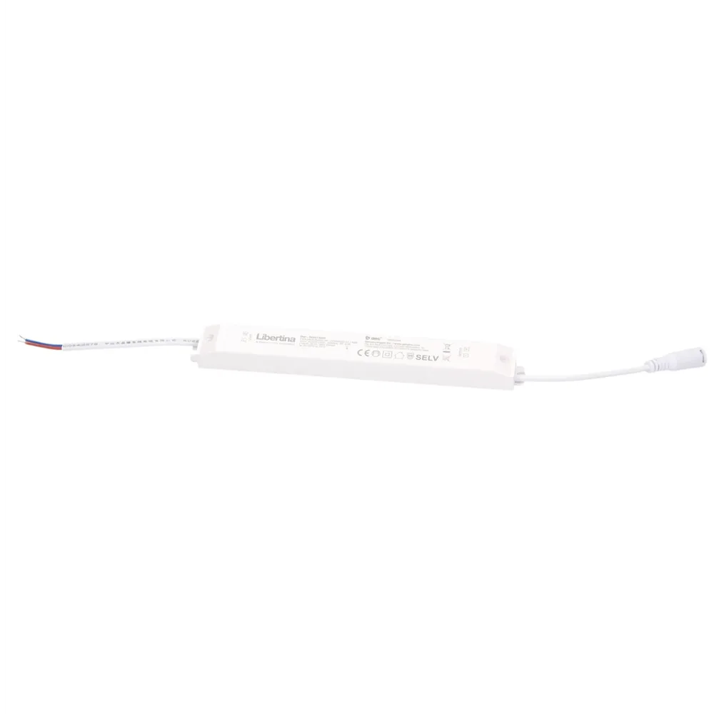Recambio driver 40W para panel Libertina ref. 203400020 - 21