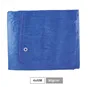 Toldo 90gr 4x6M Azul