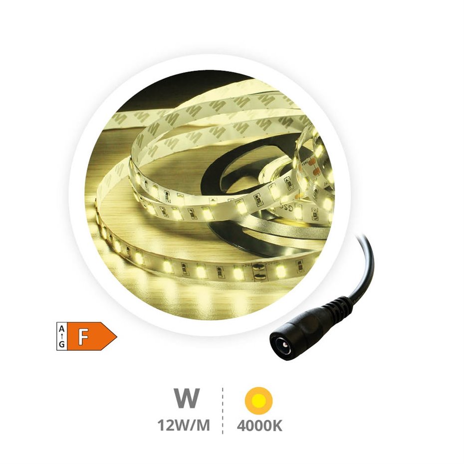 Rollo 5M TIRA LED (12W) 4000K-4500K IP20 24V