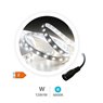 Rollo 5M TIRA LED (12W) 6000K-6500K IP20 24V