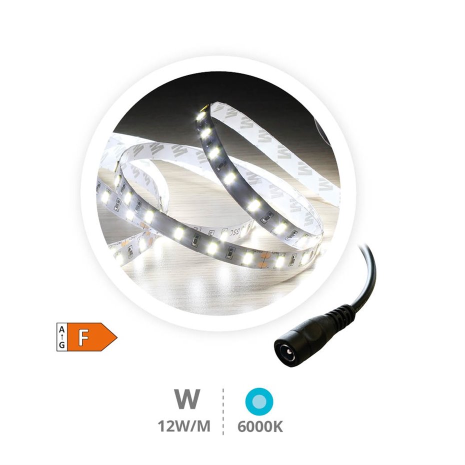 Rollo 5M TIRA LED (12W) 6000K-6500K IP44 24V